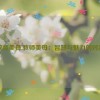 教师美母,教师美母：智慧与魅力的对决