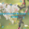 唐三比比东不亦乐乎免费,唐三比比东：乐趣无穷的冒险