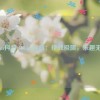 419.im抖音,419.im抖音：挑战极限，乐趣无穷！