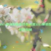 初夏3335.t解锁版最新特色,初夏3335.t解锁版：新特色探秘