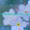 兔子mp3播放器,兔子音乐大冒险：节奏之旅