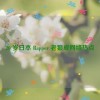 20 岁日本 Rapper 老狼成网络热点