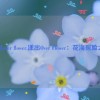 漾出over flower,漾出Over Flower：花海探险之旅