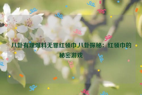 八卦有理爆料无罪红领巾,八卦探秘：红领巾的秘密游戏  第1张