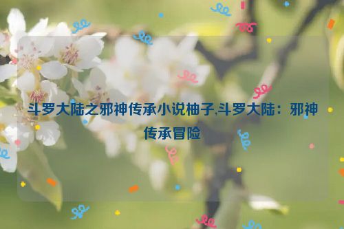 斗罗大陆之邪神传承小说柚子,斗罗大陆：邪神传承冒险  第1张