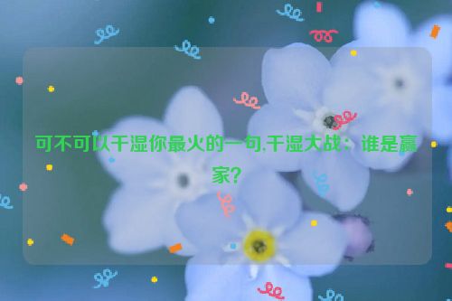 可不可以干湿你最火的一句,干湿大战：谁是赢家？  第1张