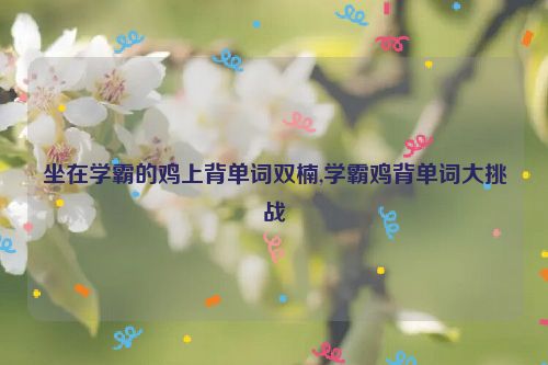 坐在学霸的鸡上背单词双楠,学霸鸡背单词大挑战  第1张