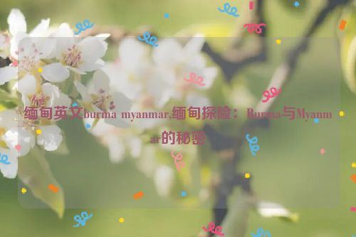 缅甸英文burma myanmar,缅甸探险：Burma与Myanmar的秘密  第1张