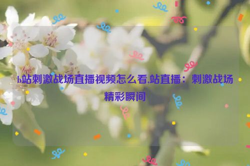 b站刺激战场直播视频怎么看,站直播：刺激战场精彩瞬间  第1张