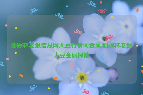 仙踪林老狼信息网大豆行情网金属,仙踪林老狼大豆金属探险  第1张