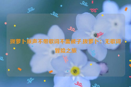 拔萝卜原声不带歌词不盖被子,拔萝卜：无歌词冒险之旅  第1张