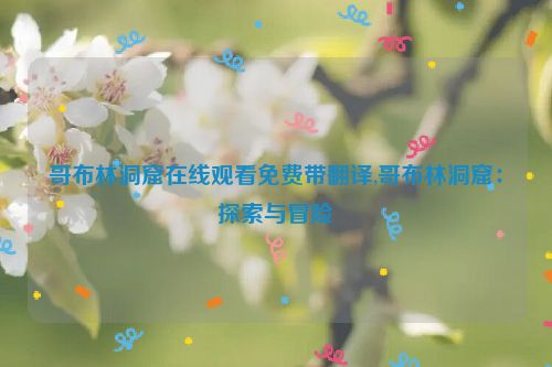 哥布林洞窟在线观看免费带翻译,哥布林洞窟：探索与冒险  第1张