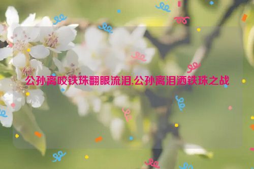 公孙离咬铁珠翻眼流泪,公孙离泪洒铁珠之战  第1张