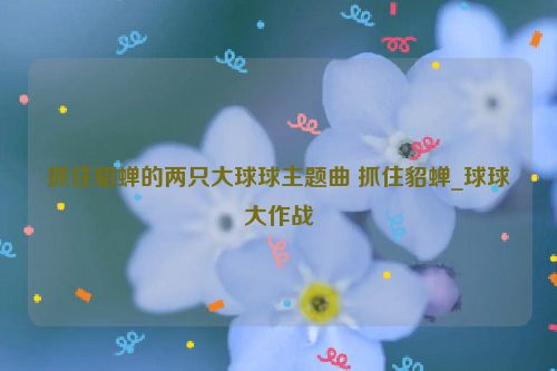 抓住貂蝉的两只大球球主题曲 抓住貂蝉_球球大作战  第1张