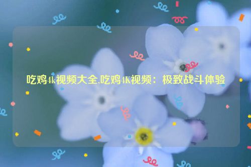 吃鸡4k视频大全,吃鸡4K视频：极致战斗体验  第1张