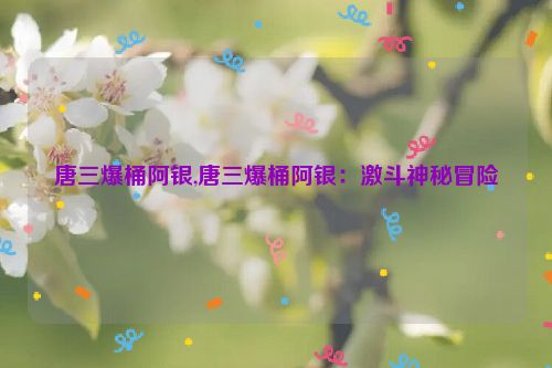 唐三爆桶阿银,唐三爆桶阿银：激斗神秘冒险  第1张