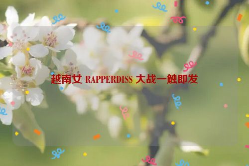 越南女 RAPPERDISS 大战一触即发  第1张