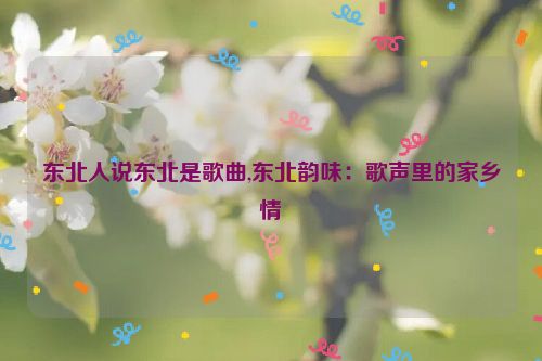 东北人说东北是歌曲,东北韵味：歌声里的家乡情  第1张