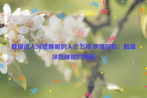 触摸进入深度睡眠的人会怎样,梦境探险：触摸深度睡眠的秘密  第1张