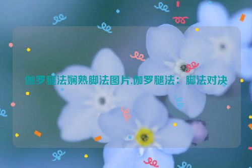 伽罗腿法娴熟脚法图片,伽罗腿法：脚法对决  第1张