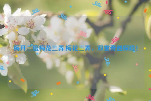 梅开二度梅花三弄,梅花三弄，双重奇遇探险！  第1张