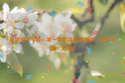 最近中文字幕mv第一季歌词,歌词追逐：中文字幕MV大挑战  第1张