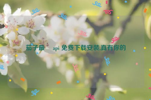 茄子最汅 api 免费下载安装,真有你的  第1张