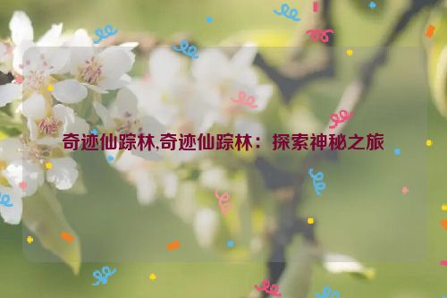 奇迹仙踪林,奇迹仙踪林：探索神秘之旅  第1张