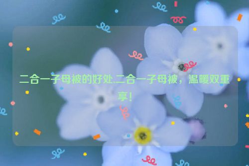 二合一子母被的好处,二合一子母被，温暖双重享！  第1张