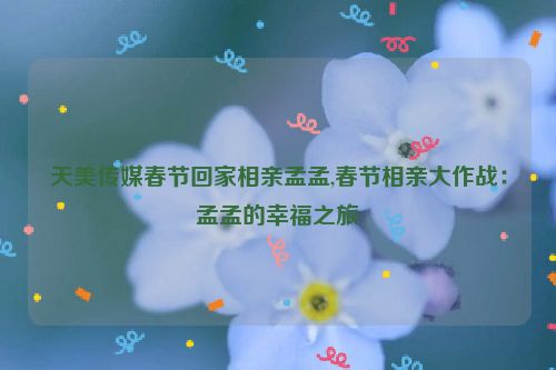 天美传媒春节回家相亲孟孟,春节相亲大作战：孟孟的幸福之旅  第1张