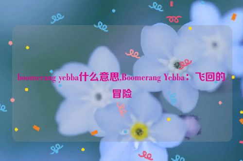 boomerang yebba什么意思,Boomerang Yebba：飞回的冒险  第1张