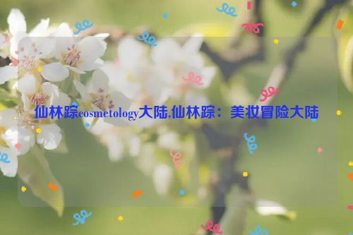 仙林踪cosmetology大陆,仙林踪：美妆冒险大陆  第1张