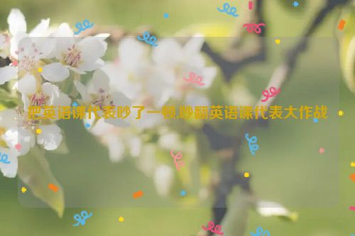 把英语课代表吵了一顿,吵翻英语课代表大作战  第1张