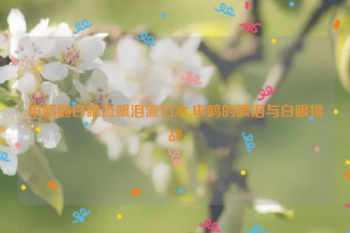 申鹤翻白眼流眼泪流口水,申鹤的眼泪与白眼挑战  第1张