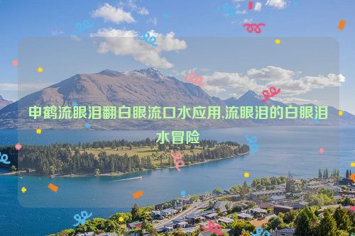 申鹤流眼泪翻白眼流口水应用,流眼泪的白眼泪水冒险  第1张