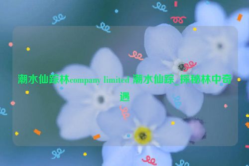 潮水仙踪林company limited 潮水仙踪_探秘林中奇遇  第1张