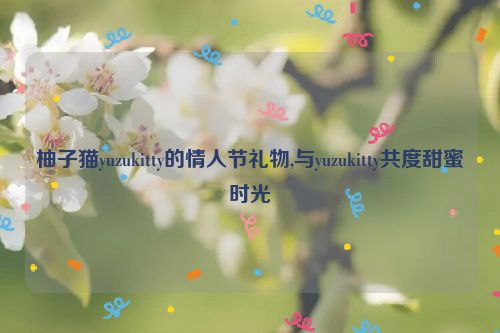 柚子猫yuzukitty的情人节礼物,与yuzukitty共度甜蜜时光  第1张