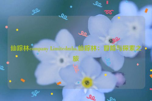 仙踪林company Limitedmba,仙踪林：冒险与探索之旅  第1张