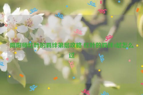 阴阳师红叶的羁绊第层攻略 红叶的羁绊4层怎么过  第1张