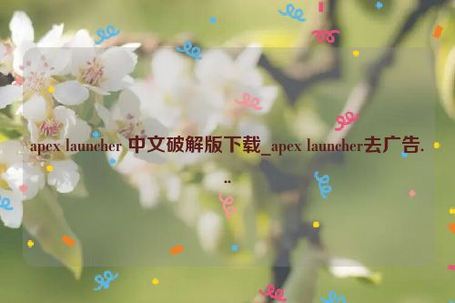 apex launcher 中文破解版下载_apex launcher去广告...  第1张