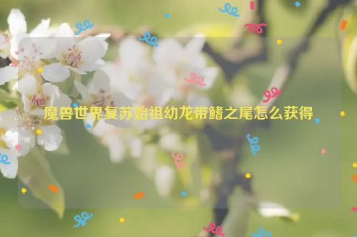 魔兽世界复苏始祖幼龙带鳍之尾怎么获得  第1张