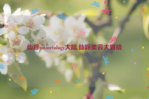 仙踪cosmetology大陆,仙踪美容大冒险  第1张