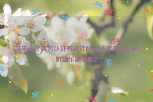 b站未成年实名认证有坏处吗,未成年实名认证：游戏乐趣受限？  第1张