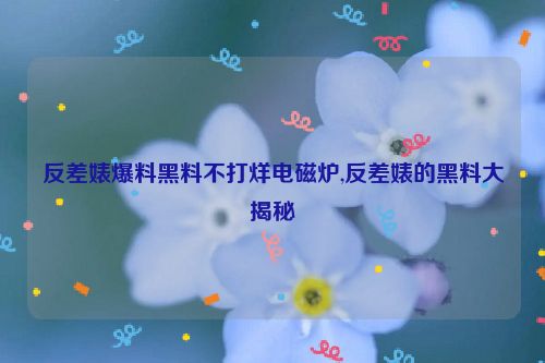 反差婊爆料黑料不打烊电磁炉,反差婊的黑料大揭秘  第1张