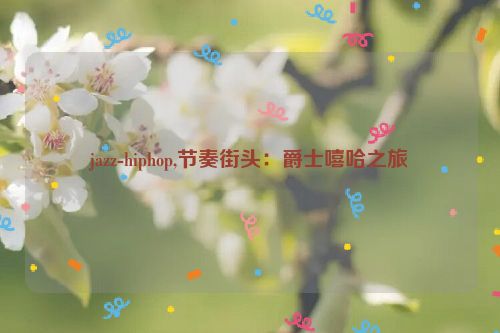 jazz-hiphop,节奏街头：爵士嘻哈之旅  第1张