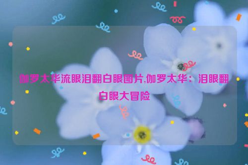 伽罗太华流眼泪翻白眼图片,伽罗太华：泪眼翻白眼大冒险  第1张