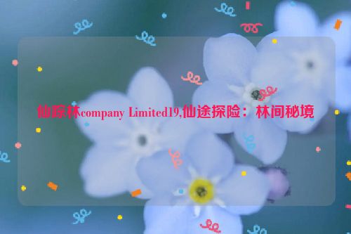 仙踪林company Limited19,仙途探险：林间秘境  第1张