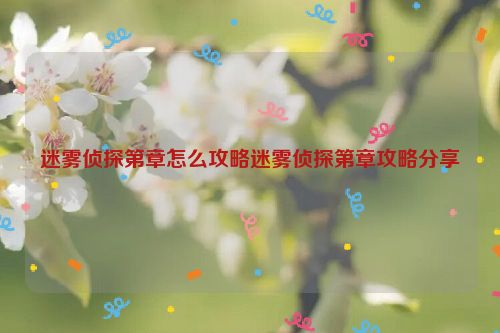 迷雾侦探第章怎么攻略迷雾侦探第章攻略分享  第1张