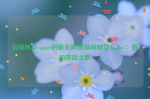 仙踪林女rapper的音乐风格,仙踪林女Rapper：音韵探险之旅  第1张