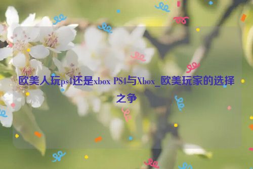 欧美人玩ps4还是xbox PS4与Xbox_欧美玩家的选择之争  第1张